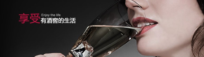 VALENTI酒柜使用说明